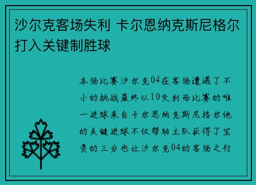 沙尔克客场失利 卡尔恩纳克斯尼格尔打入关键制胜球 沙尔克客场失利 卡尔恩纳克斯尼格尔打入关键制胜球