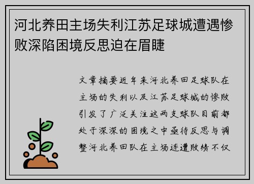 河北养田主场失利江苏足球城遭遇惨败深陷困境反思迫在眉睫